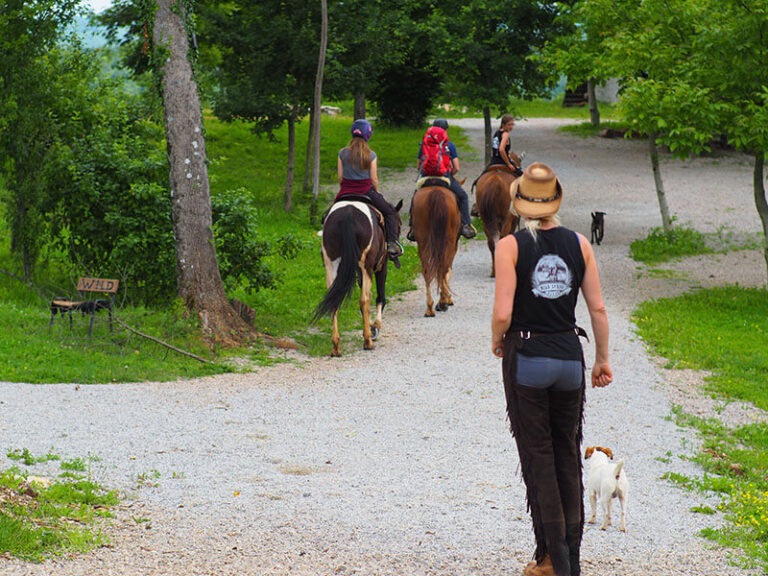 Wild Spring Ranch​